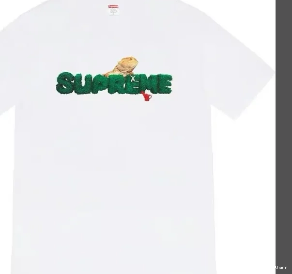 Tee Logo Black Green S Environmental Plant Lizard 20SS M Short sleeved XL L White T-shirt 0629